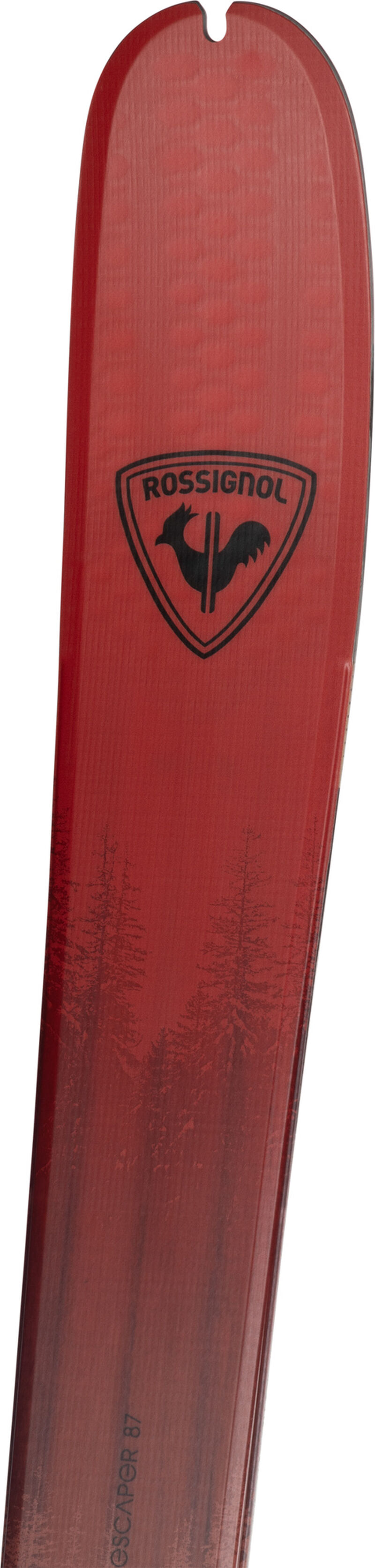 Rossignol Men's Touring Skis ESCAPER 87 OPEN 